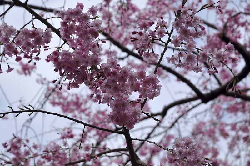 image0223