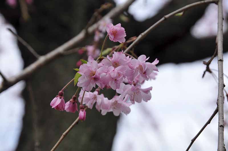 image0228