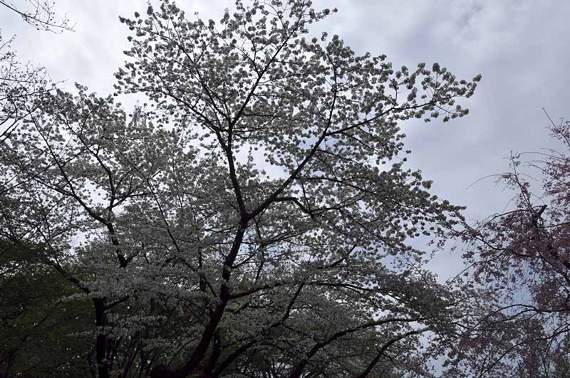 image0242