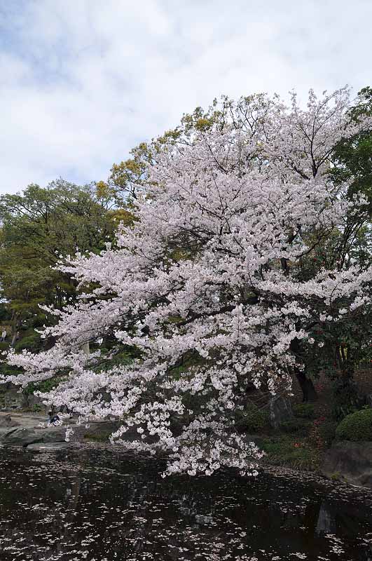 image0248