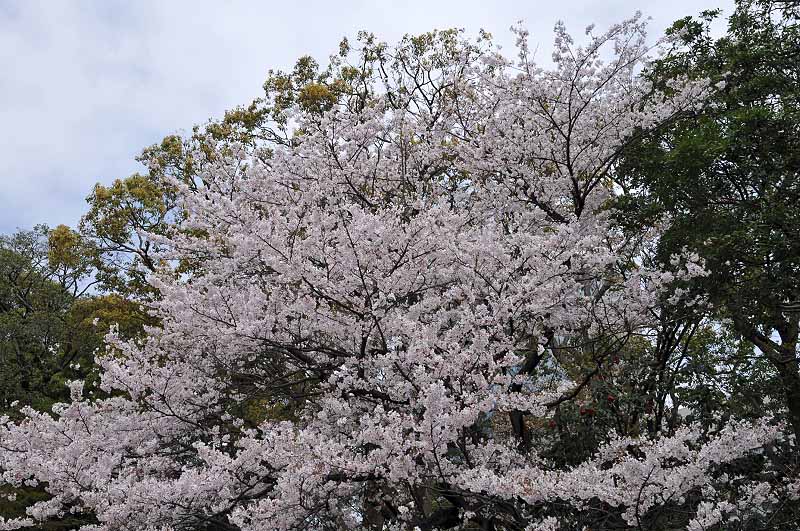 image0252