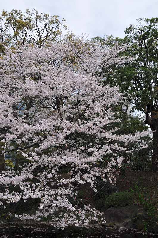 image0255