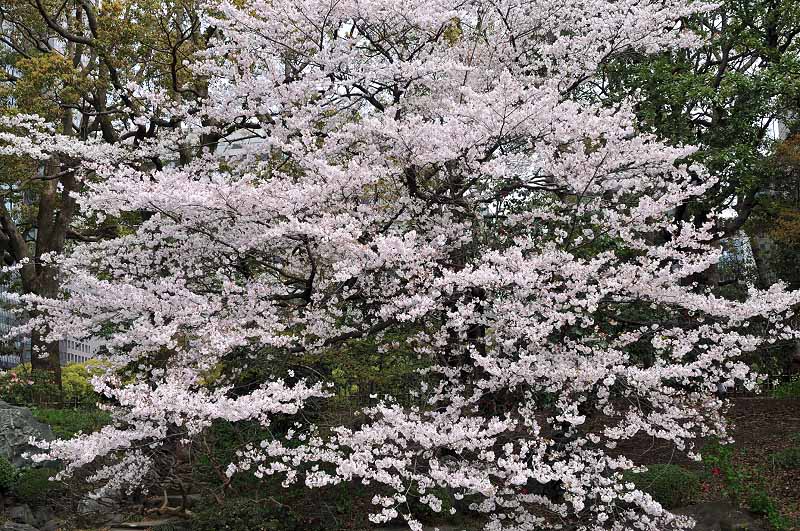 image0261