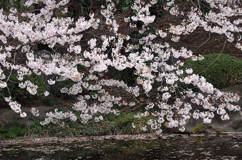image0263