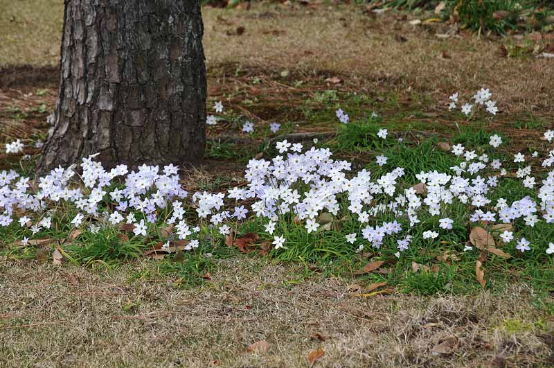 image0296