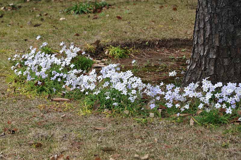 image0297