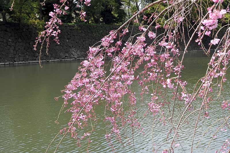 image0307