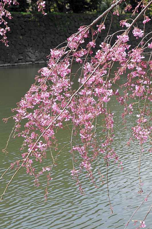 image0308