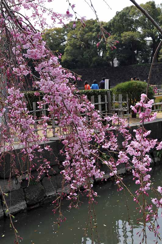 image0311