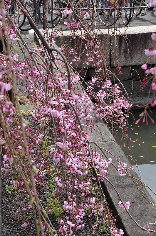 image0312