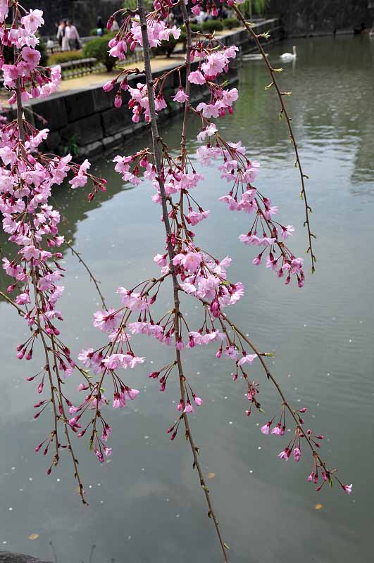 image0314