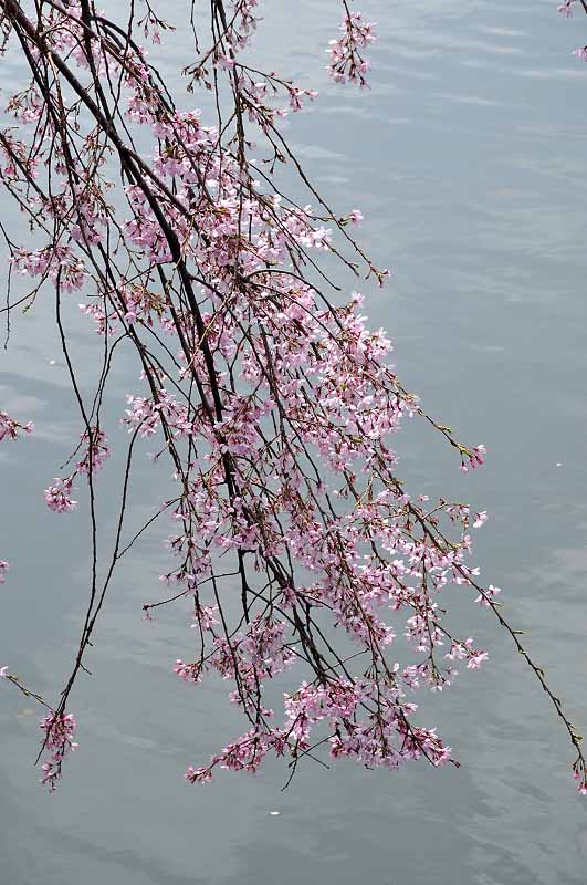 image0325