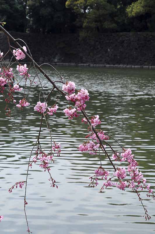 image0338