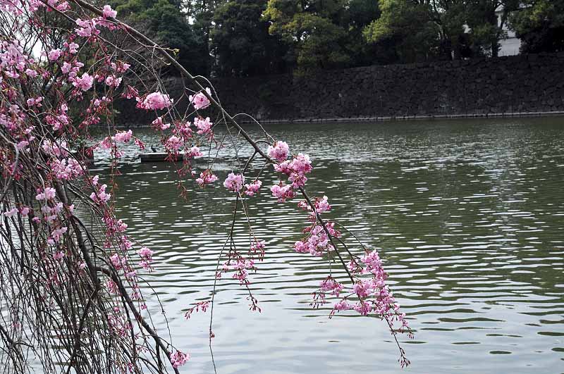 image0339