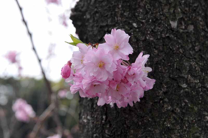 image0340