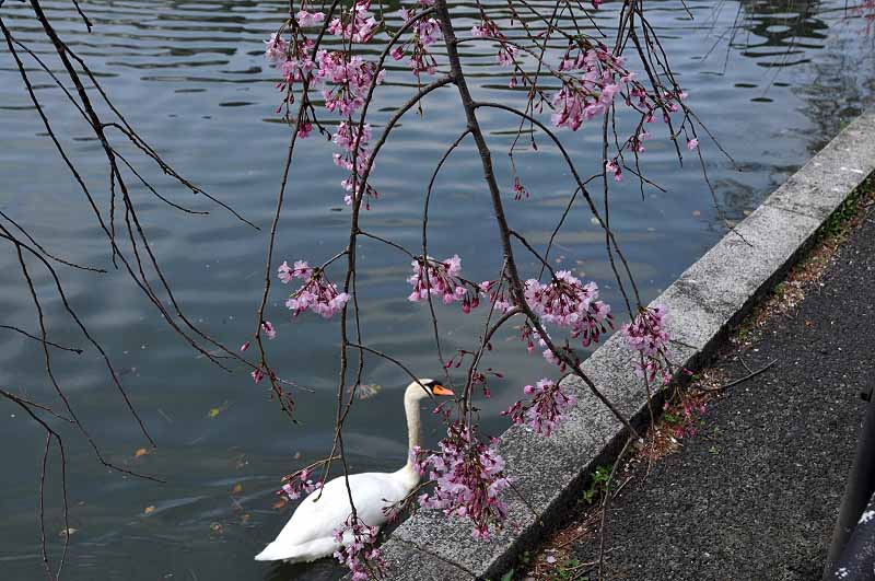 image0342
