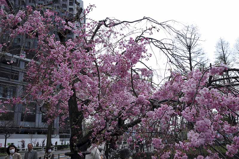 image0353