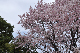 image0128