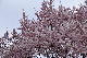 image0130