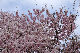 image0131