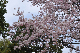 image0132
