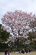 image0135