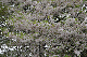 image0137
