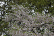 image0138
