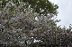 image0139