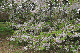 image0141