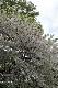 image0142