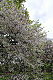 image0143