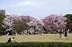 image0145