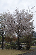 image0146