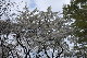 image0147