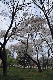 image0148