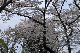 image0149