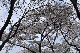 image0150
