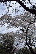 image0151
