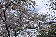 image0152
