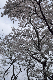 image0153