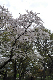 image0154