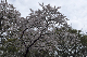 image0155