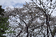 image0156