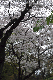 image0157