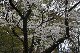 image0158