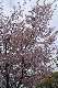 image0159