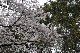 image0162