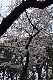 image0163