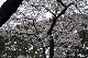 image0164